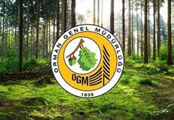 Orman Genel Müdürlüğü (OGM) işçi alımı ilanı yayınlandı! OGM İŞKUR üzerinden 224 sürekli işçi alacak!