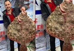 6 bin TL'ye aldı! Karadeniz'de avlandı, İstanbul'a satıldı