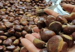 Kestane fiyatları 70 lira oldu