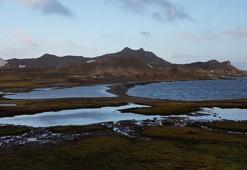 Kirlilik her yere ulaştı! Türk bilim insanları korkutan gerçeği açıkladı