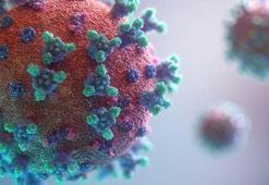 Strep A nedir? 4 Çocuğun hayatını kaybettiği Strep A hastalığını belirtileri nelerdir, nasıl ortaya çıkar?