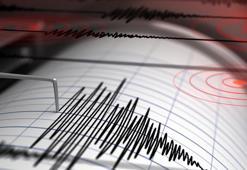 Kuşadası Körfezi'nde korkutan deprem