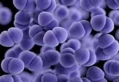Strep A virüsü nedir, belirtileri nelerdir? Strep Türkiye'de var mı, nasıl bulaşır?