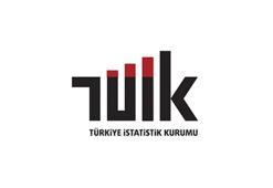 Türkiye İstatistik Kurumu (TÜİK) personel alacak! İşte Kariyer Kapısı başvuru ekranı!