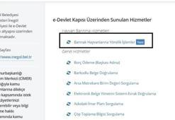 Hayvan sahiplenmek isteyenleri ilgilendiriyor! Başvurular e-devlet üzerinden yapılıyor