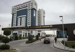 Tarım ve Orman Bakanlığı 1200 sözleşmeli personel alımı ne zaman? 1200 personel alımı başvuru şartları neler, KPSS şartı var mı, hangi branşlarda alım yapılacak?