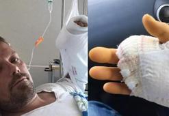 Yavru kediyi sevdi hastanelik oldu! Aylar sonra acı haber geldi
