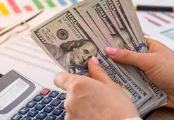 Yıl sonu dolar ne olacak? Merkez Bankası piyasa katılımcıları anketini yayımladı