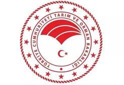Tarım Bakanlığı personel alımı tercih kılavuzu yayımlandı! KPSS-2022/13 Tercihleri ne zaman bitecek, Tarım ve Orman Bakanlığı KPSS tercih tarihleri ne?