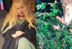 Zerrin Özer mezarlıkta şarkı söyledi! Takipçileri ikiye bölündü