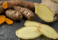 Kış ayı gelince akın ediyorlar! Talep yağıyor