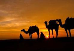 Deve gribi nedir, belirtileri nelerdir ve bulaşıcı mı? Orta Doğu Solunum Sendromu (MERS) deve gribi ölümcül mü?