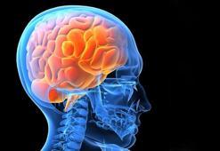 Beyin yiyen amip nedir, Türkiye’de var mı? Güney Kore Beyin yiyen amip nasıl bulaşır, nerede bulunur, Negleria fowler belirtileri neleri, tedavisi var mı?