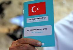 1 milyon 104 bin ev hayvanı kayıt altına alındı