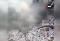 Meksika’da araç hırsızı yakılarak öldürüldü