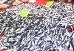 Karadeniz’de istavrit tezgahlara geri döndü! Kilo fiyatı şaşırttı