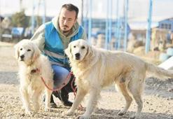 'Çip' zorunluluğu sonrası sayı üçe katlandı