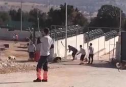 Konya'daki barınak vahşetinin sanıklarına tahliye kararı