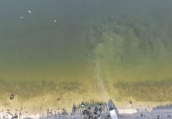 Küçükçekmece gölü'nün MR'i çekildi! '1. derece sit alanı ilan edilmeli'