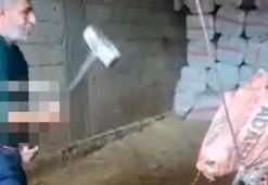 Keseceği boğayı balyozla öldüren sanığa 36 gün sonra tahliye