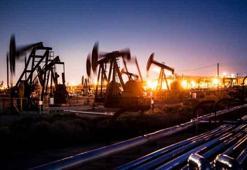 Petrol müjdesi! '4 bölgede var' deyip açıkladı