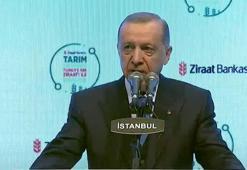Cumhurbaşkanı Erdoğan'dan çiftçilere destek müjdesi