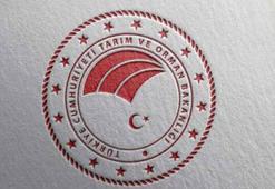 Tarım ve Orman Bakanlığı personel alımı 2023! Tarım ve Orman Bakanlığı 6 bin personel alımı ne zaman yapılacak, başvuru tarihi ve şartları nelerdir?