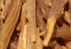 Doğal afrodizyak! Gelenler 100 gram alabiliyor, 4 yılda bir yetişiyor