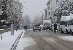 Ölen inek kuduz çıktı, Hozat'a hayvan giriş- çıkışı yasaklandı