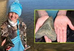 3.5 milyon yıllık keşif! Küçük kız sahilde gezerken buldu