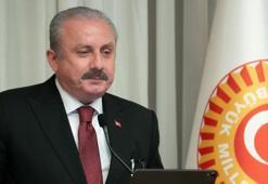 TBMM Başkanı Mustafa Şentop, İsveç Meclis Başkanı ile görüştü