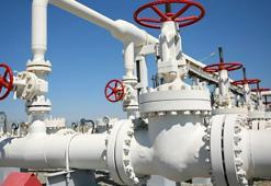 Yerli doğal gaz ile ilgili flaş gelişme! Ve tamamlandı