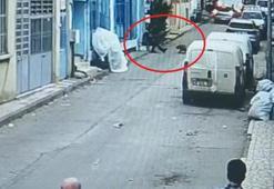Pitbull silah sayıldı; baba-oğula hapis cezası istendi