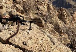 İçişleri Bakanlığı duyurdu: PKK'ya yeni operasyon başlatıldı
