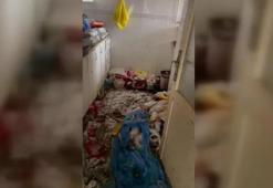 Çöp ev skandalı! Üç kardeşin kahreden görüntüsü