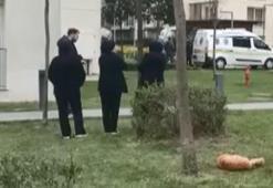 Sancaktepe'de 3 çocuk ile babaları ölü bulundu