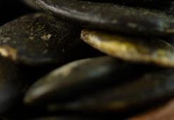 Kolesterol, kanser ve diyabete şifa! Ölçüyü kaçırırsanız bağırsak için büyük tehlike