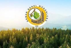 2023 OGM personel alımı: 1128 OGM personel alımı başvurusu ne zaman, şartlar neler?