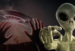 Uzman isim UFO'larla ilgili gerçekleri tek tek açıkladı: Cinsel organları belli olmuyor