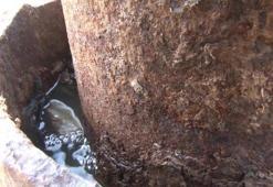 Bir ilimizde daha petrol heyecanı: 38 noktada sızıntı, gaz çıkışı var