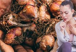 Kansere, obeziteye ve diyabete şifa! Kabukları bile her derde deva çıktı