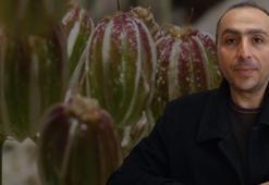 Dünyada sadece Tunceli’de var! Türk bilim insanı keşfetti