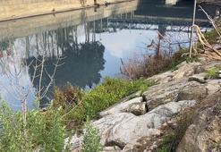 İstanbul'un iki yakasındaki iki derede kirlilik alarmı!