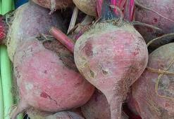 Pancar bedelleri ne zaman ödenecek? Pancar bedel ödemeleri hesaplara yattı mı?