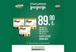 Tarım Kooperatif Market 28 Şubat özel katalog yayınlandı! İndirimli ürünler listesi belli oldu! Çocuk bezi 89 TL, 1 KG Kıyma 62 TL, ayçiçek yağı...