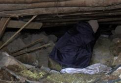 Sürünerek girip enkazın altındaki ineğini besliyor