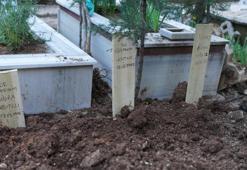 Doktor aileden geriye bu fotoğraf kaldı! Acı tesadüf