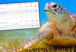 İnternette caretta caretta kabuğundan tespih satıyorlar! 6 bin liraya kadar çıkıyor