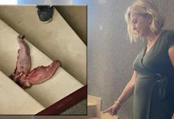 Profesörün ofisinin önüne bırakıp tehdit etmişti! Yakalama kararı çıkarıldı