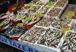 Hamsi sezonu kapattı, vatandaş istavrit ve mezgite yöneldi